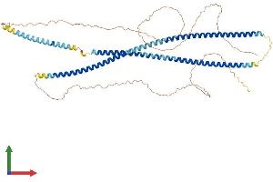 Protein Structure (PS) image for Cytokeratin-2P (KRT76) (AA 1-594) protein (His tag) (ABIN7557291)