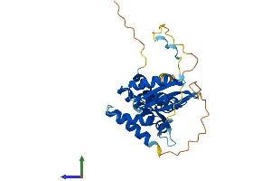 Protein Structure (PS) image for Armadillo Repeat Containing 1 (ARMC1) (AA 1-282) protein (His tag) (ABIN7552337)