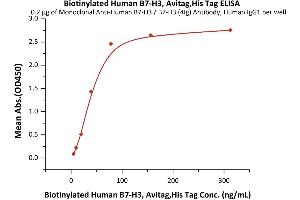 Immobilized Monoclonal A B7-H3 / B7-H3 (4Ig) Antibody, Human IgG1 at 2 μg/mL (100 μL/well) can bind Biotinylated Human B7-H3, Avitag,His Tag (ABIN5674582,ABIN6253693) with a linear range of 5-39 ng/mL (QC tested). (CD276 Protein (CD276) (AA 29-245) (His tag,AVI tag,Biotin))