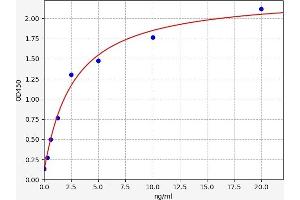 Typical standard curve (Ki-67 ELISA 试剂盒)