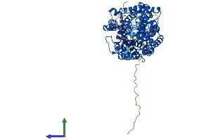 Protein Structure (PS) image for Solute Carrier Family 6 (Amino Acid Transporter), Member 14 (Slc6a14) (AA 1-638) protein (His tag) (ABIN7561700)