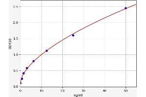 Typical standard curve (STK39 ELISA 试剂盒)