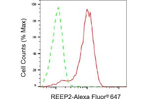 Flow cytometric analysis of REEP2 expression in HAP-1 cells using REEP2 antibody (ABIN7800154), 1:2,000). (Recombinant REEP2 抗体)