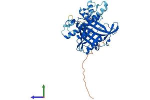 Protein Structure (PS) image for Brix Domain Containing 5 (RPF1) (AA 1-349) protein (His tag) (ABIN7551545)