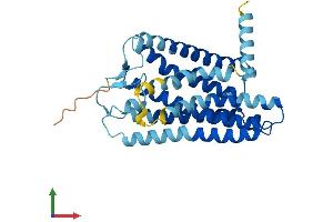 AlphaFold protein structure predicition of Human Recombinant OR2V1 Protein, UniprotID Q8NHB1 (OR2V1 Protein (AA 1-315) (His tag))