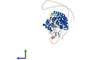 Protein Structure (PS) image for TBC1 Domain Family, Member 10A (TBC1D10A) (AA 1-500) protein (His tag) (ABIN7556530)