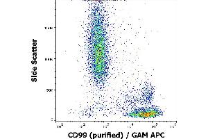 Flow cytometry surface staining pattern of human peripheral blood stained using anti-human CD99 (3B2/TA8) purified antibody (concentration in sample 2 μg/mL) GAM APC.