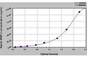 Typical Standard Curve (MMP2 ELISA 试剂盒)