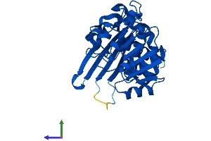 Protein Structure (PS) image for Crystallin, mu (CRYM) (AA 1-314) protein (His tag) (ABIN7546840)