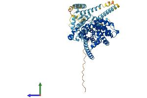 Protein Structure (PS) image for Solute Carrier Family 28 (Sodium-Coupled Nucleoside Transporter), Member 2 (SLC28A2) (AA 1-658) protein (His tag) (ABIN7555351)