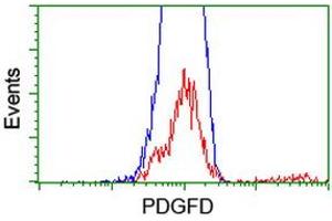 HEK293T cells transfected with either RC219641 overexpress plasmid (Red) or empty vector control plasmid (Blue) were immunostained by anti-PDGFD antibody (ABIN2455136), and then analyzed by flow cytometry. (PDGFD 抗体  (AA 19-247))