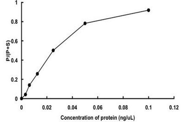 ERK1 Protein (AA 1-379) (GST tag)