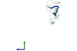 Protein Structure (PS) image for Calcium Binding and Coiled-Coil Domain 1 (CALCOCO1) (AA 1-691) protein (His tag) (ABIN7564575)