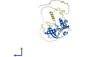 AlphaFold protein structure predicition of Human Recombinant TMEM183A Protein, UniprotID Q8IXX5