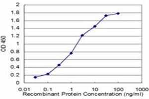 Detection limit for recombinant GST tagged FMR1 is approximately 0. (FMR1 抗体  (AA 121-220))