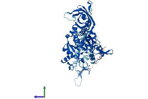 Protein Structure (PS) image for Asparaginyl-tRNA Synthetase (NARS) (AA 1-559) protein (His tag) (ABIN7558795)