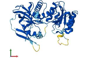 Protein Structure (PS) image for Crystallin, Zeta, Homolog (AA 1-349) protein (His tag) (ABIN7551133)
