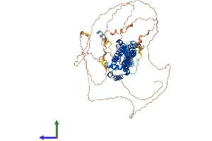 Protein Structure (PS) image for rho GTPase Activating Protein 44 (ARHGAP44) (AA 1-814) protein (His tag) (ABIN7563835)