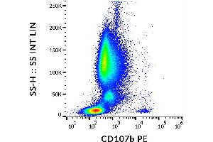 Flow cytometry analysis (surface staining) of IgE-stimulated human peripheral blood with anti-CD107b (H4B4) PE. (LAMP2 抗体  (PE))