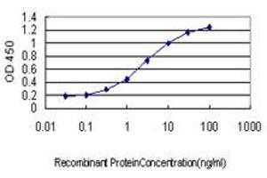 Detection limit for recombinant GST tagged LMO3 is approximately 0. (LMO3 抗体  (AA 91-146))