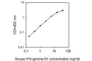 ELISA image for Interferon gamma Receptor 1 (IFNGR1) ELISA Kit (ABIN4885547) (IFNGR1 ELISA 试剂盒)