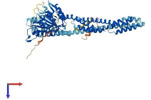 GBP4 Protein (AA 1-640) (His tag)