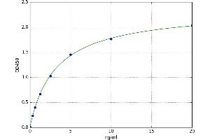 Nebulette (NEBL) ELISA Kit
