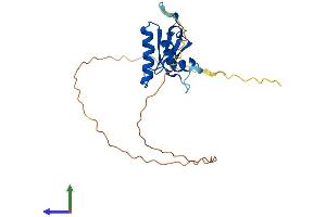 AlphaFold protein structure predicition of Mouse Recombinant Sh3bgr Protein, UniprotID Q9WUZ7 (SH3BGR Protein (AA 1-214) (His tag))