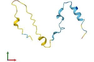 Protein Structure (PS) image for Calcium/calmodulin-Dependent Protein Kinase II Inhibitor 1 (CAMK2N1) (AA 1-78) protein (Fc Tag) (ABIN7558097)