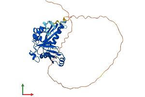 Protein Structure (PS) image for Endonuclease V (ENDOV) (AA 1-338) protein (His tag) (ABIN7559204)