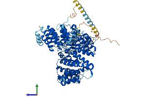 Protein Structure (PS) image for N(alpha)-Acetyltransferase 16, NatA Auxiliary Subunit (NAA16) (AA 1-864) protein (His tag) (ABIN7549622)