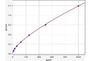 ECE1 ELISA 试剂盒