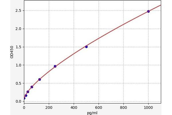 ECE1 ELISA 试剂盒