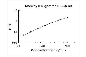 Typical Standard Curve