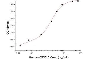Activity Assay (AcA) image for Chemokine (C-X3-C Motif) Ligand 1 (CX3CL1) (AA 25-339) (Active) protein (His tag) (ABIN7607500)