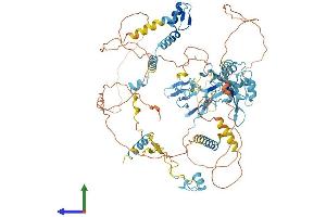 Protein Structure (PS) image for RNA Binding Motif Protein 5 (RBM5) (AA 1-815) protein (His tag) (ABIN7564820)
