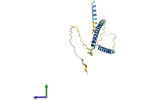 AlphaFold protein structure predicition of Human Recombinant MXD4 Protein, UniprotID Q14582