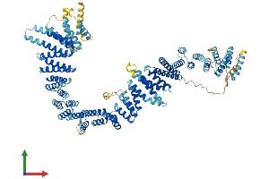 AlphaFold protein structure predicition of Mouse Recombinant Tex11 Protein, UniprotID Q14AT2