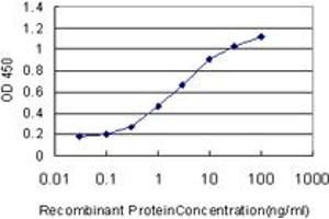 Detection limit for recombinant GST tagged ZW10 is approximately 0. (ZW10 抗体  (AA 1-100))