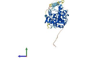 Protein Structure (PS) image for ST3 beta-Galactoside alpha-2,3-Sialyltransferase 5 (ST3GAL5) (AA 1-418) protein (His tag) (ABIN7546057)