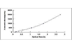 Typical standard curve (FKBP1A ELISA 试剂盒)