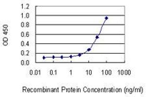 ELISA image for anti-POU Domain, Class 2, Transcription Factor 1 (POU2F1) (AA 1-743) antibody (ABIN519045)