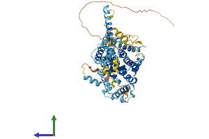AlphaFold protein structure predicition of Human Recombinant SLC34A3 Protein, UniprotID Q8N130 (SLC34A3 Protein (AA 1-599) (His tag))