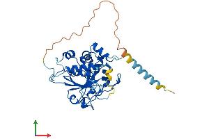 Protein Structure (PS) image for ST3 beta-Galactoside alpha-2,3-Sialyltransferase 2 (ST3GAL2) (AA 1-350) protein (His tag) (ABIN7546092)