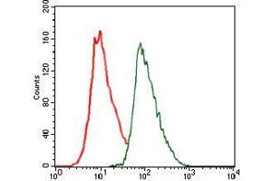 Flow cytometric analysis of HeLa cells using CEBPA mouse mAb (green) and negative control (red). (CEBPA 抗体)