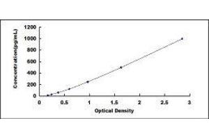 Suppressor of Cytokine Signaling 3 (SOCS3) ELISA Kit