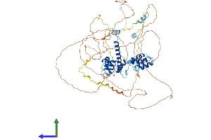 Protein Structure (PS) image for Transcription Elongation Factor B (SIII), Polypeptide 3 (110kDa, Elongin A) (TCEB3) (AA 1-773) protein (His tag) (ABIN7564530)