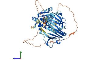 Protein Structure (PS) image for Ankyrin Repeat Domain 13C (ANKRD13C) (AA 1-541) protein (His tag) (ABIN7557304)