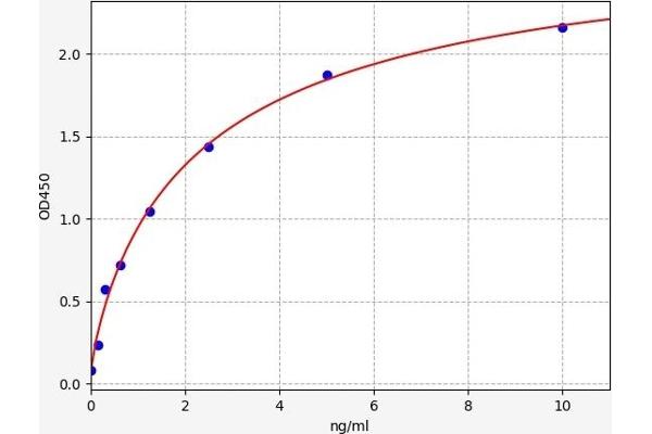 GPC2 ELISA 试剂盒