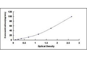 Typical standard curve (MMP13 ELISA 试剂盒)